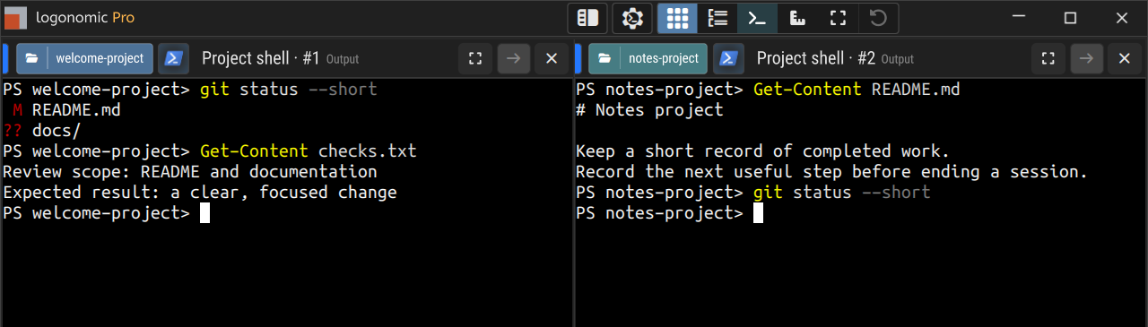 Two Project shells from different sample repositories in terminal overview.